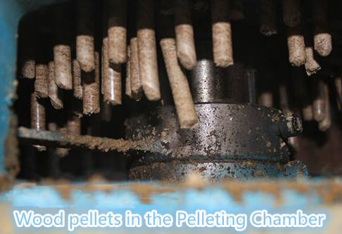 pellets in the pelletizing chamber